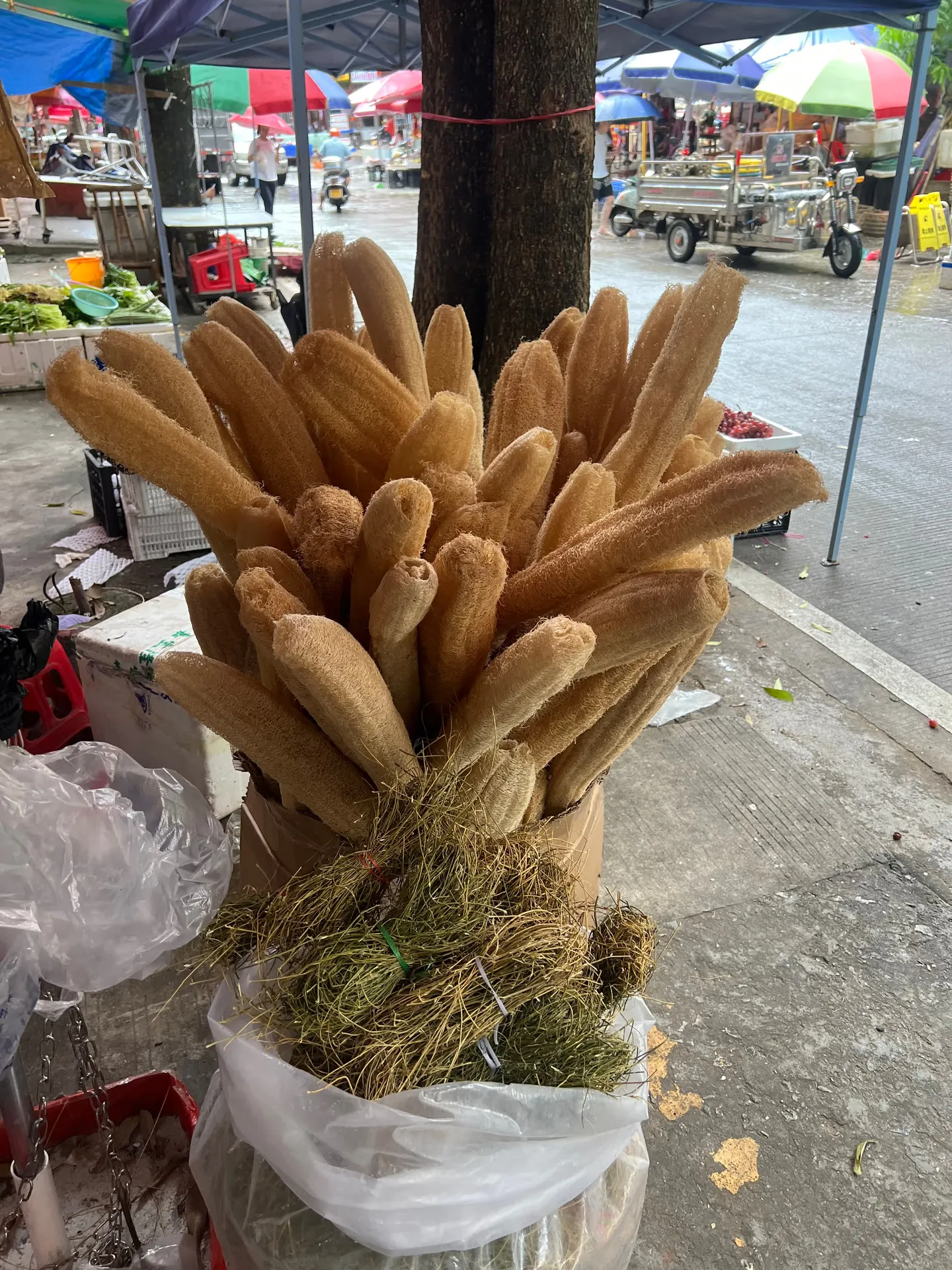 A long loofah