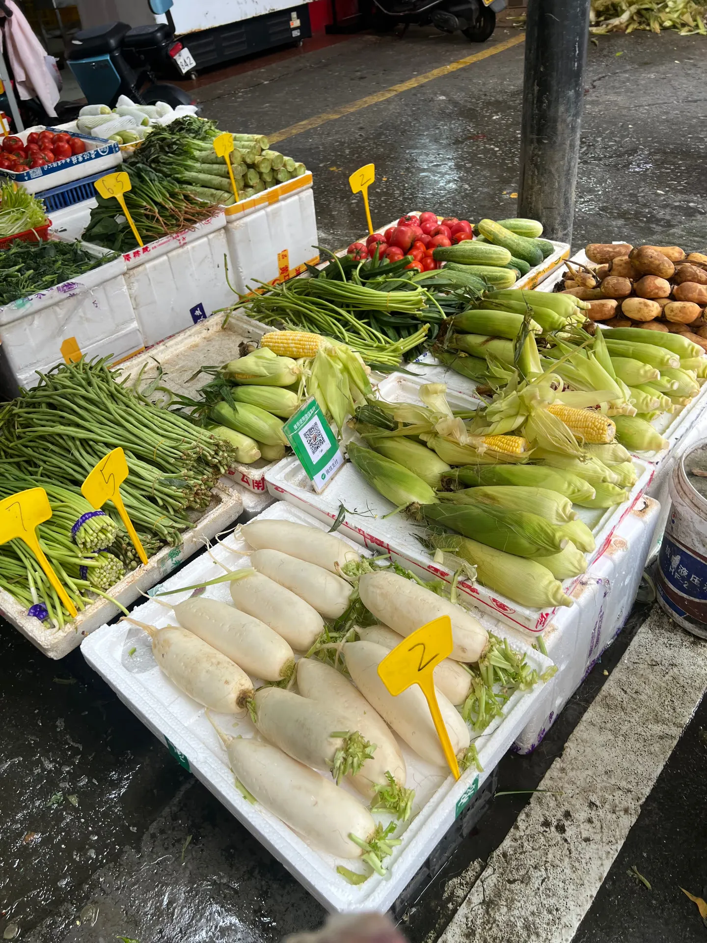 An assortment of vegetables