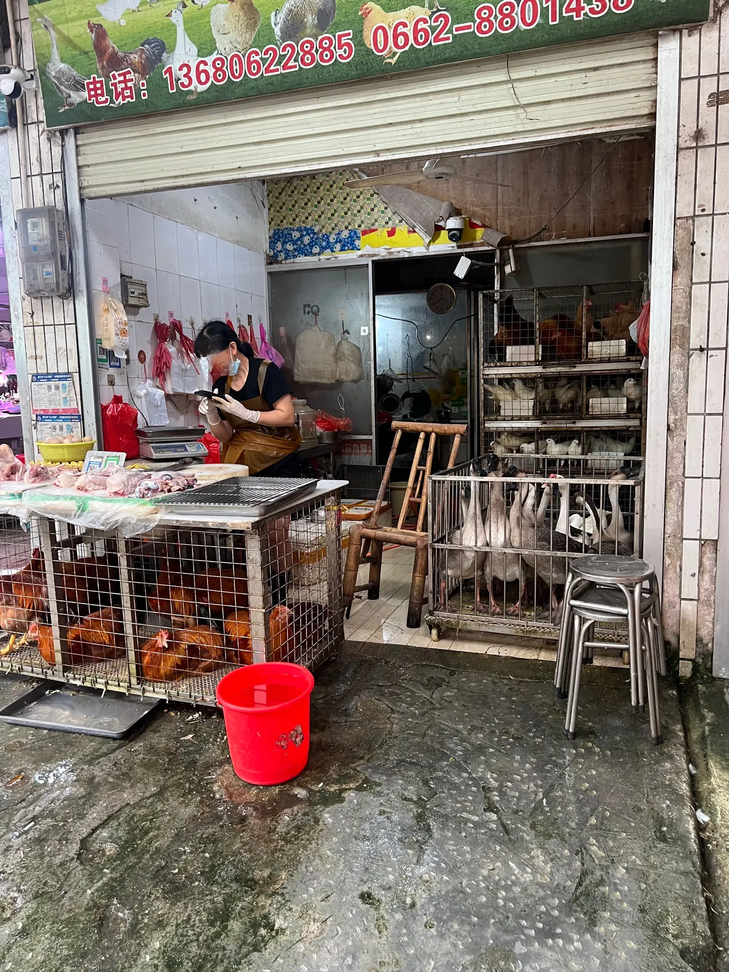 A small stall inside the market