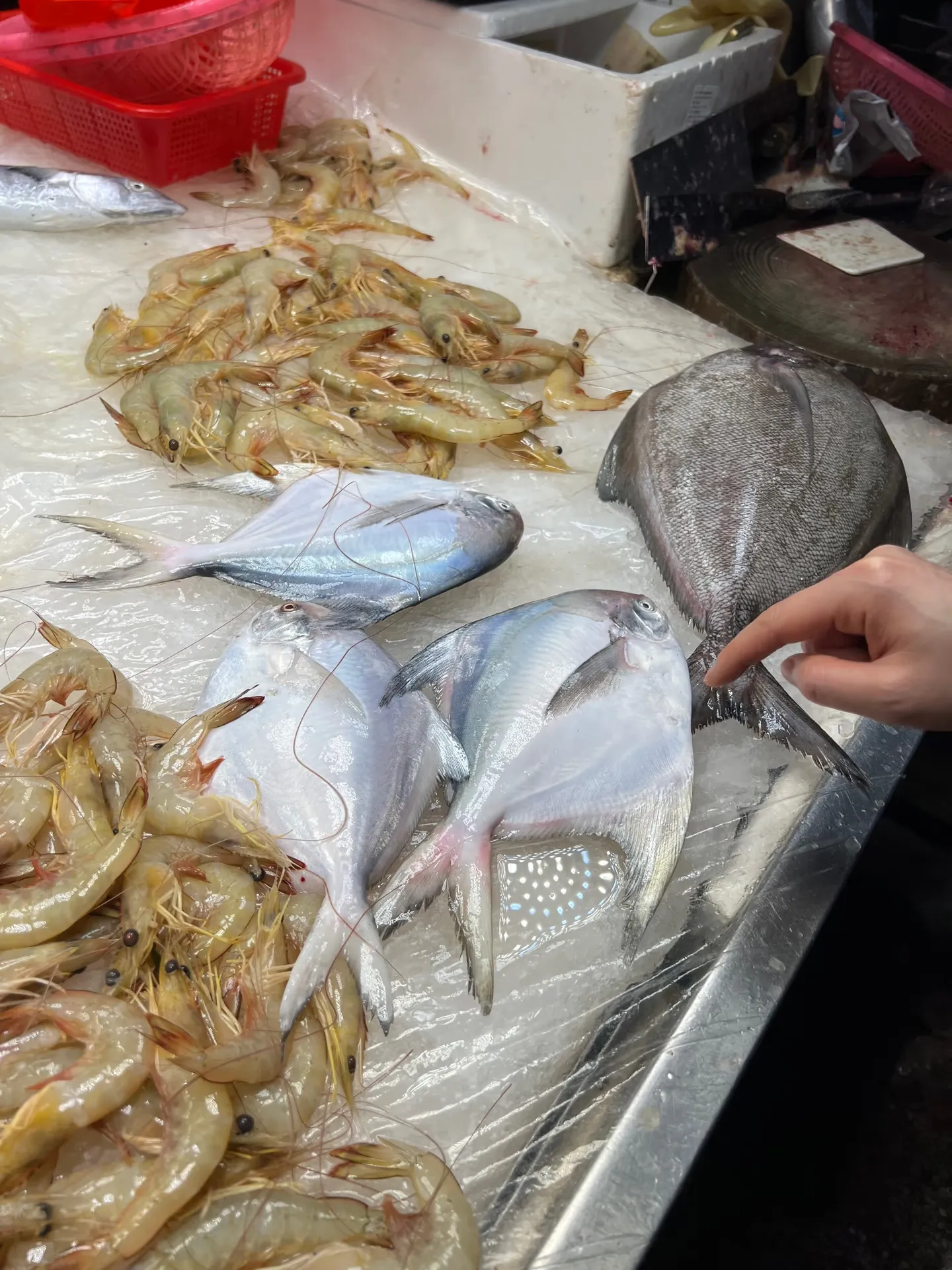 A stall selling fish and seafood
