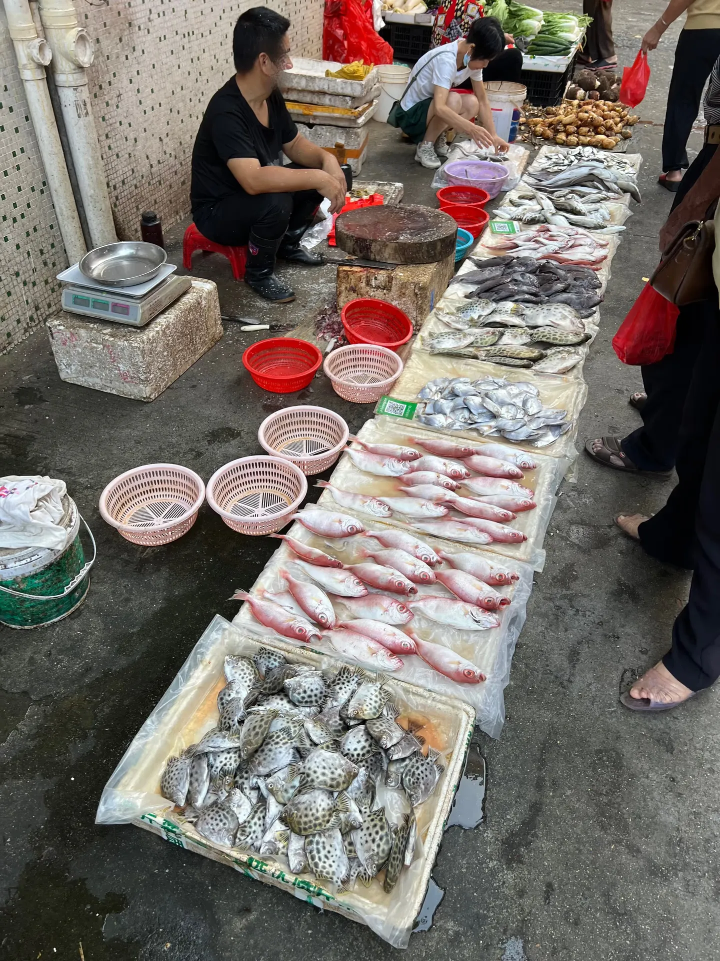 A market aisle and fish stalls